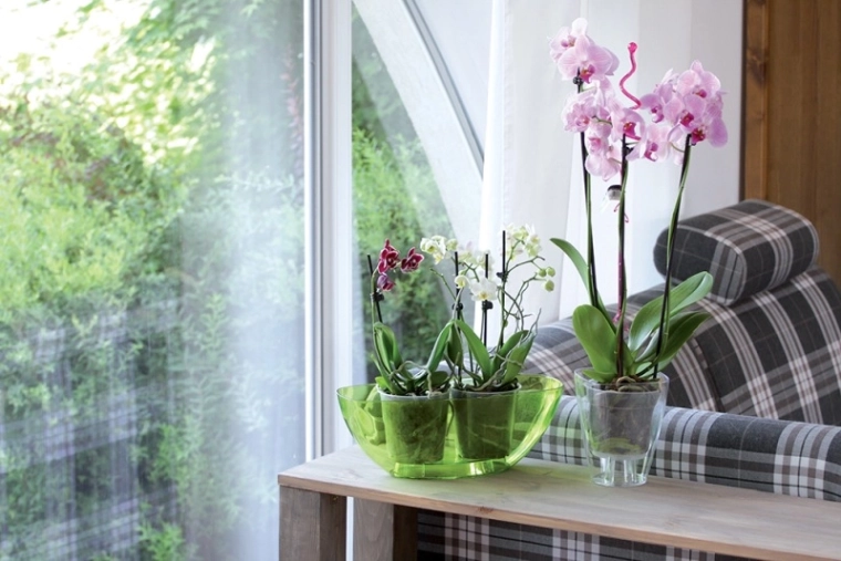Transparent walls for healthy roots