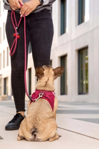Safer walks: pull distribution, reflectivity, and a summer cooling effect