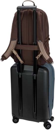 A practical travel companion