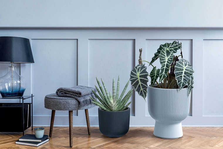Elegant ribbed design