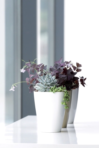 Stylish accessory for indoors and balconies