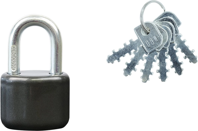 Padlock with removable shackle, 6 keys, anthracite