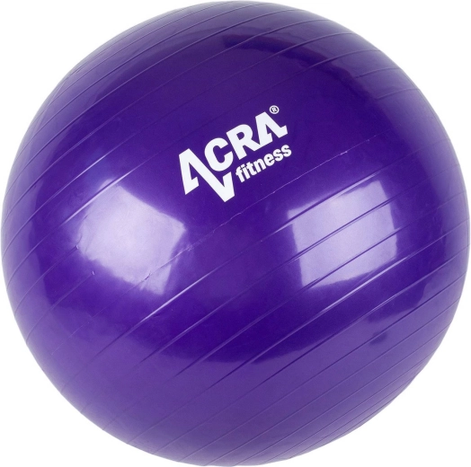 ACRA Purple Gym Ball 65 cm