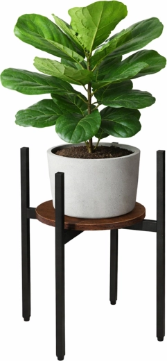 Renew Force Loft-Style Plant Stand