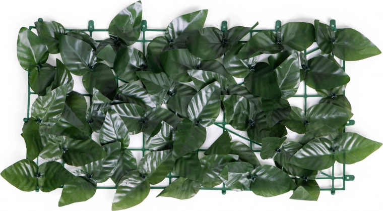 Естествен вид на листата през цялата година