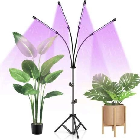 Три светлинни режима за всеки етап на растеж