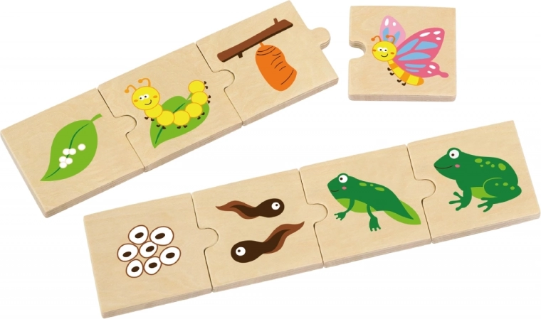 Обучение чрез игра: жизнени цикли на една ръка разстояние