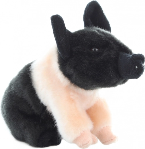 Безопасно от раждането