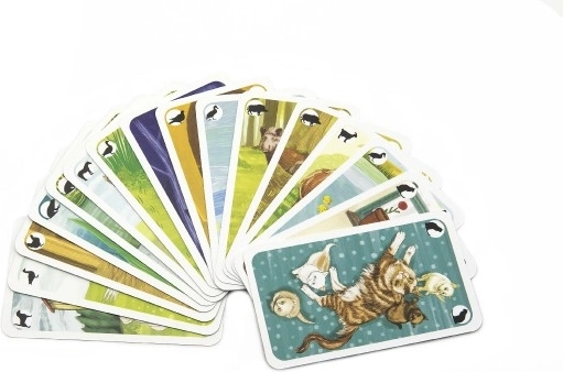 Beautiful illustrations