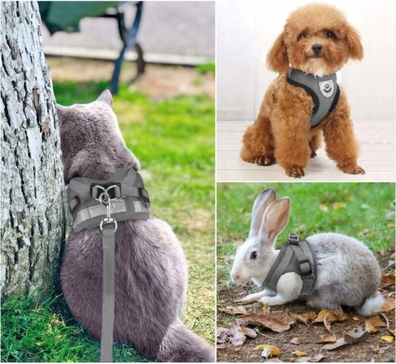 Универсален за кучета, котки и зайци