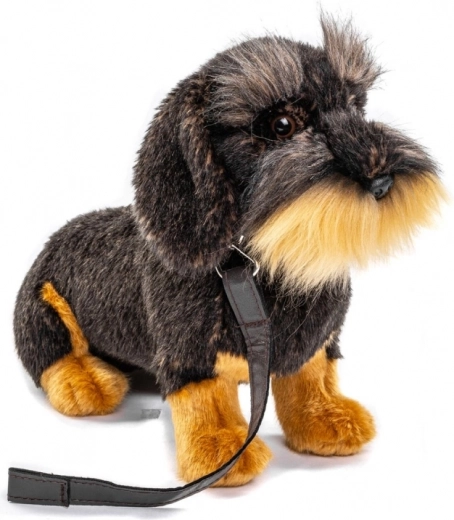 Leash for interactive play