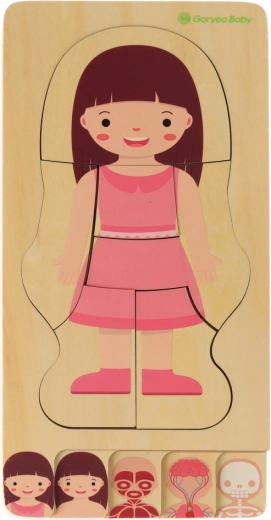 Многослойна анатомия стъпка по стъпка