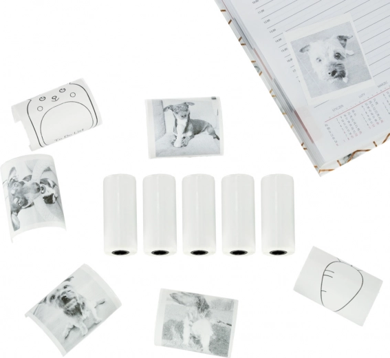 Self-adhesive surface