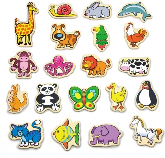 Цветни магнитни фигурки