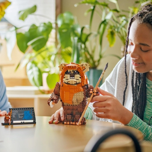 Минифигурка и информационен табел
