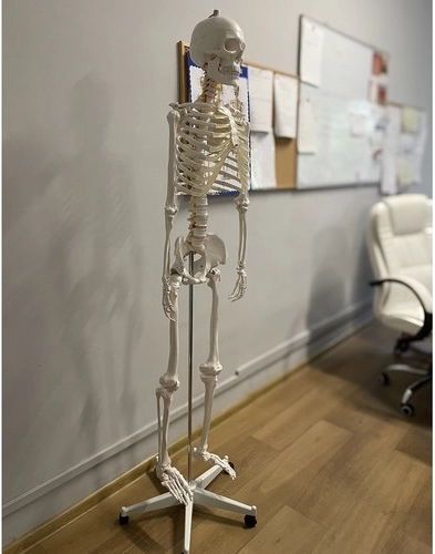 Реален размер 1:1