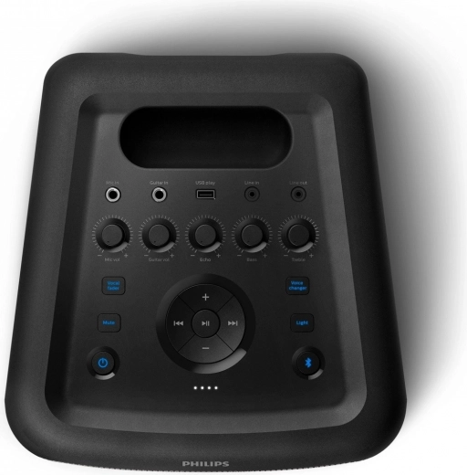Karaoke and Instrument Inputs