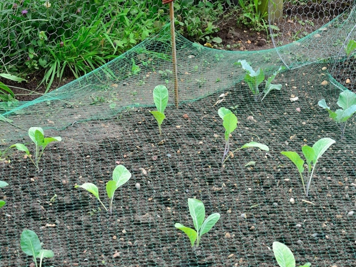 Лесен монтаж и напасване