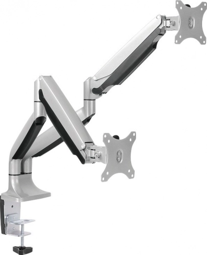 Ergonomic dual arms