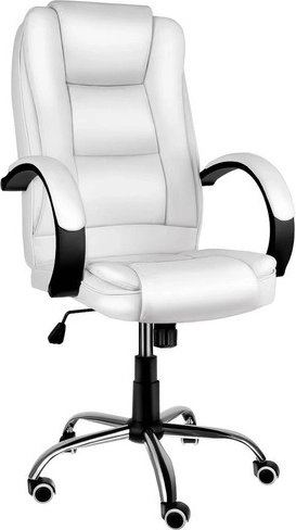 Ergonomic backrest