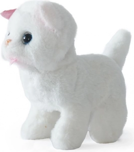 Върви като истинско