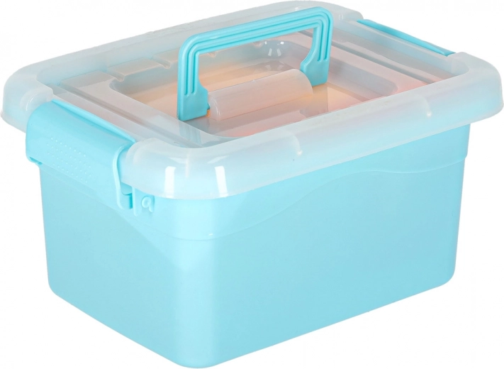 Практична кутия за съхранение при пътуване