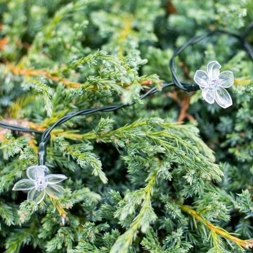 Цветен дизайн и цветен ефект