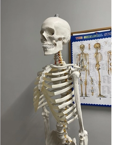 Учебно средство с плакат