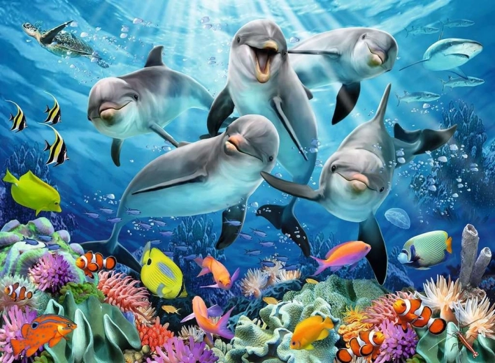 Striking dolphins and coral reef motif