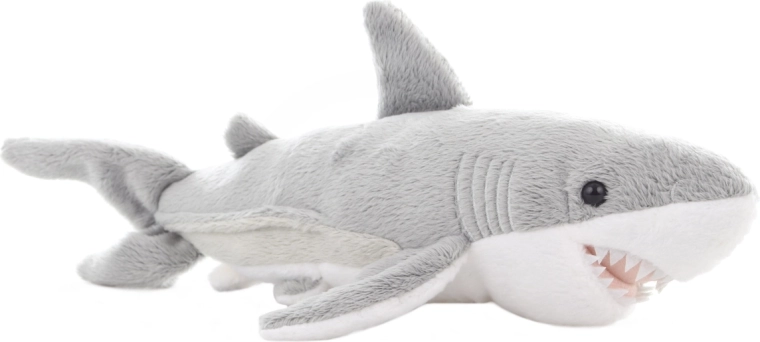 Реалистична, но приятелска визия