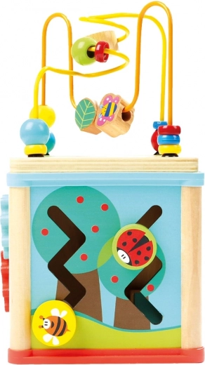 Learning shapes, colors, and time