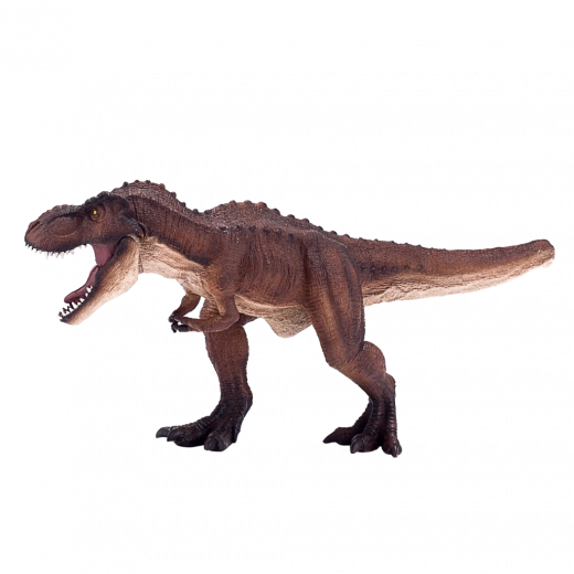 Detailed, realistic design
