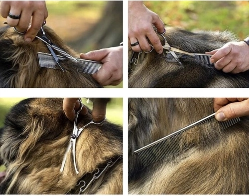 Голям комплект с аксесоари в калъф