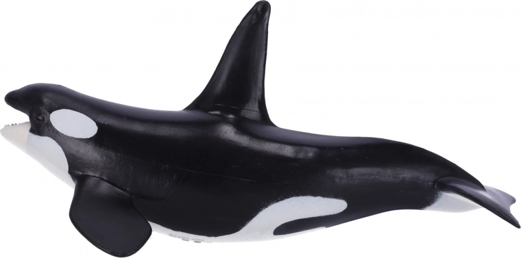 Образователна и колекционерска