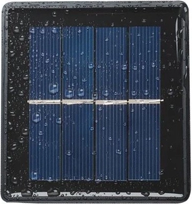 Устойчиви на всякакво време