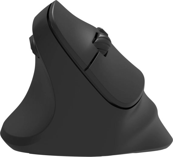 Flexible connectivity WL + Bluetooth