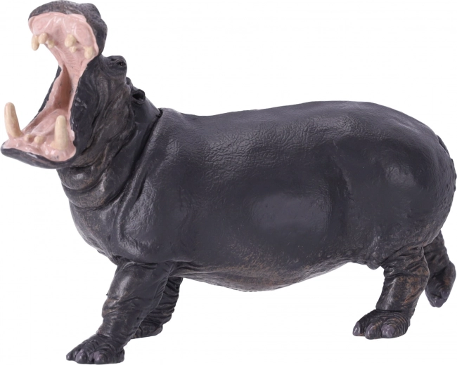 Обучение и колекционерство