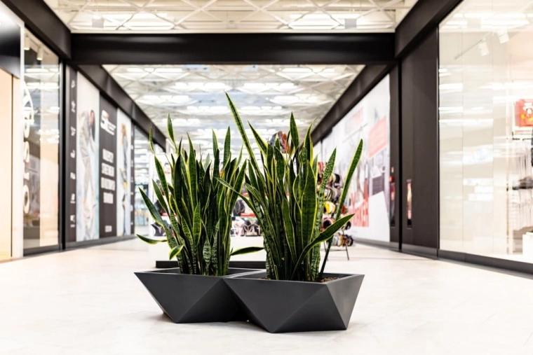 Стилна геометрия за модерни пространства