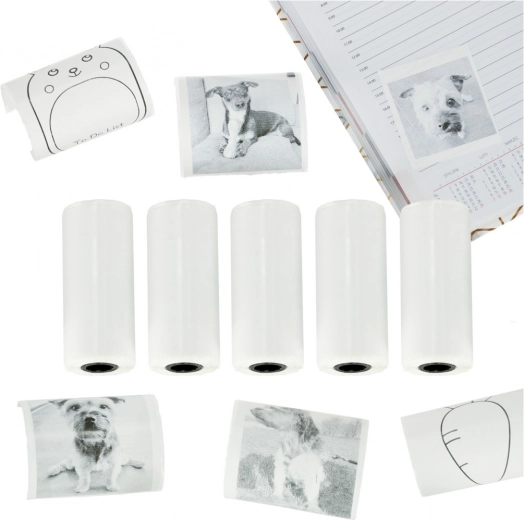 Compact and practical packaging