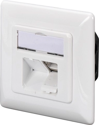 Два RJ45 порта