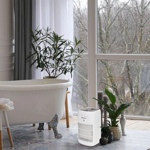 Ефективно обезвлажняване за здравословна среда