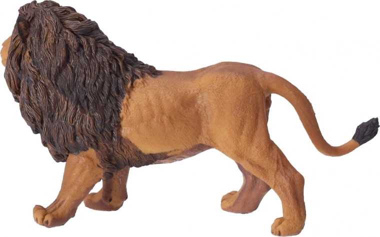 Подходящо за образование и колекции