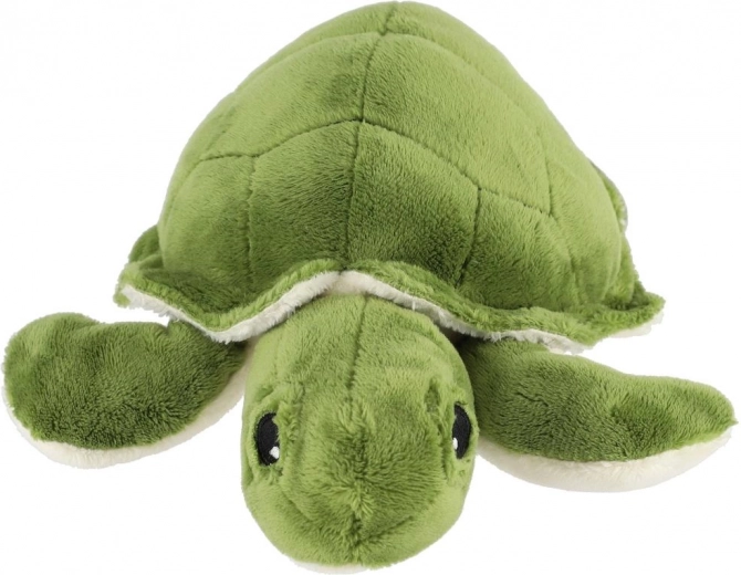 Компактни размери за дома и път