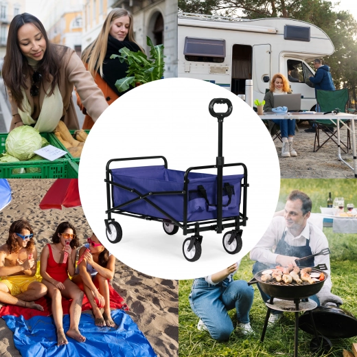 Практична количка за всякакви поводи