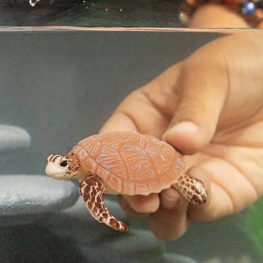 Издръжлива за детски ръце