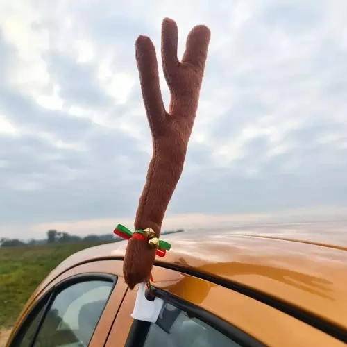 Рога с коледен дизайн