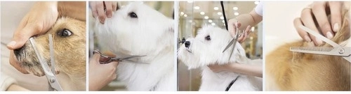 Професионална ергономия и плавна работа