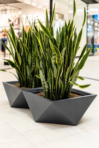 Максимална издръжливост и дълъг живот