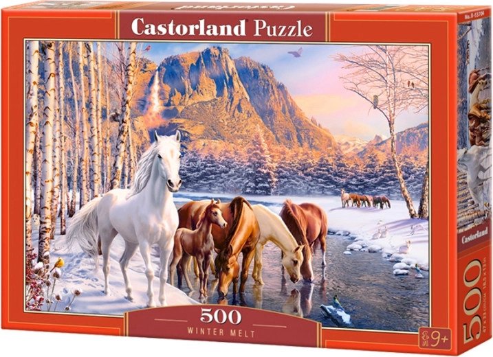 500 pieces for the perfect challenge