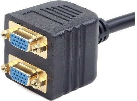Two VGA Ports